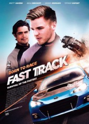 Прирожденный гонщик 2 / Born to Race: Fast Track (2014) описание фильма